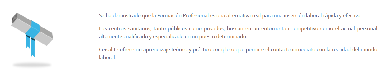 formación profesional