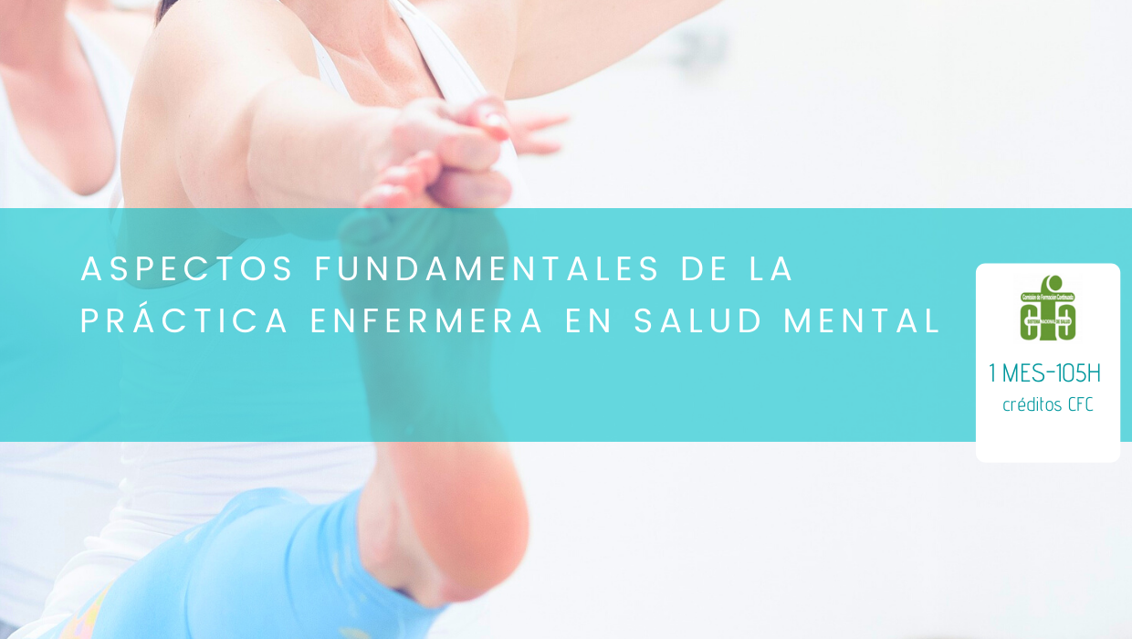 Aspectos fundamentales de la Práctica Enfermera en Salud Mental (BASE)