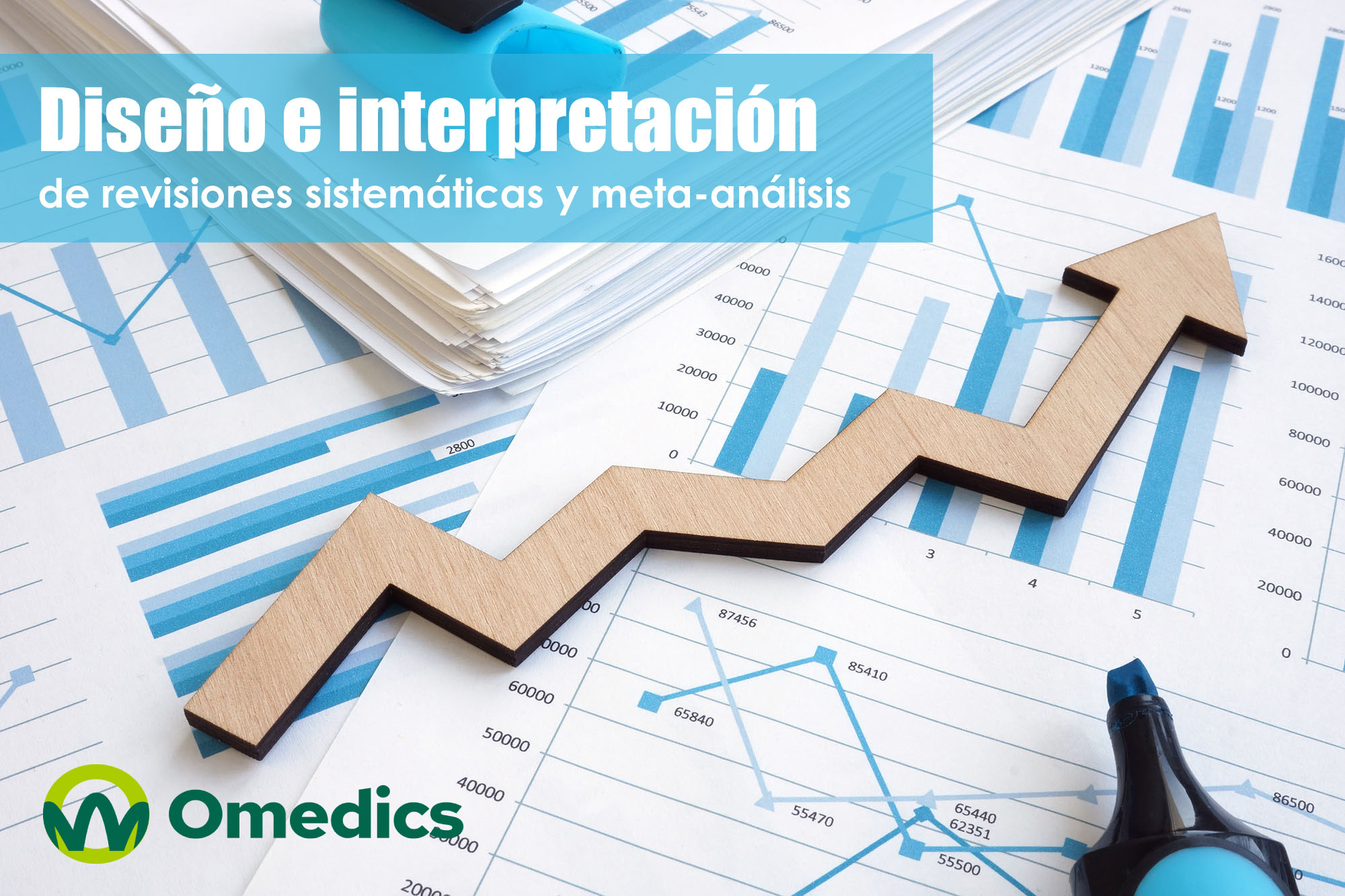 Diseño e interpretación de revisiones sistemáticas y meta-análisis (25 horas - 1 mes)