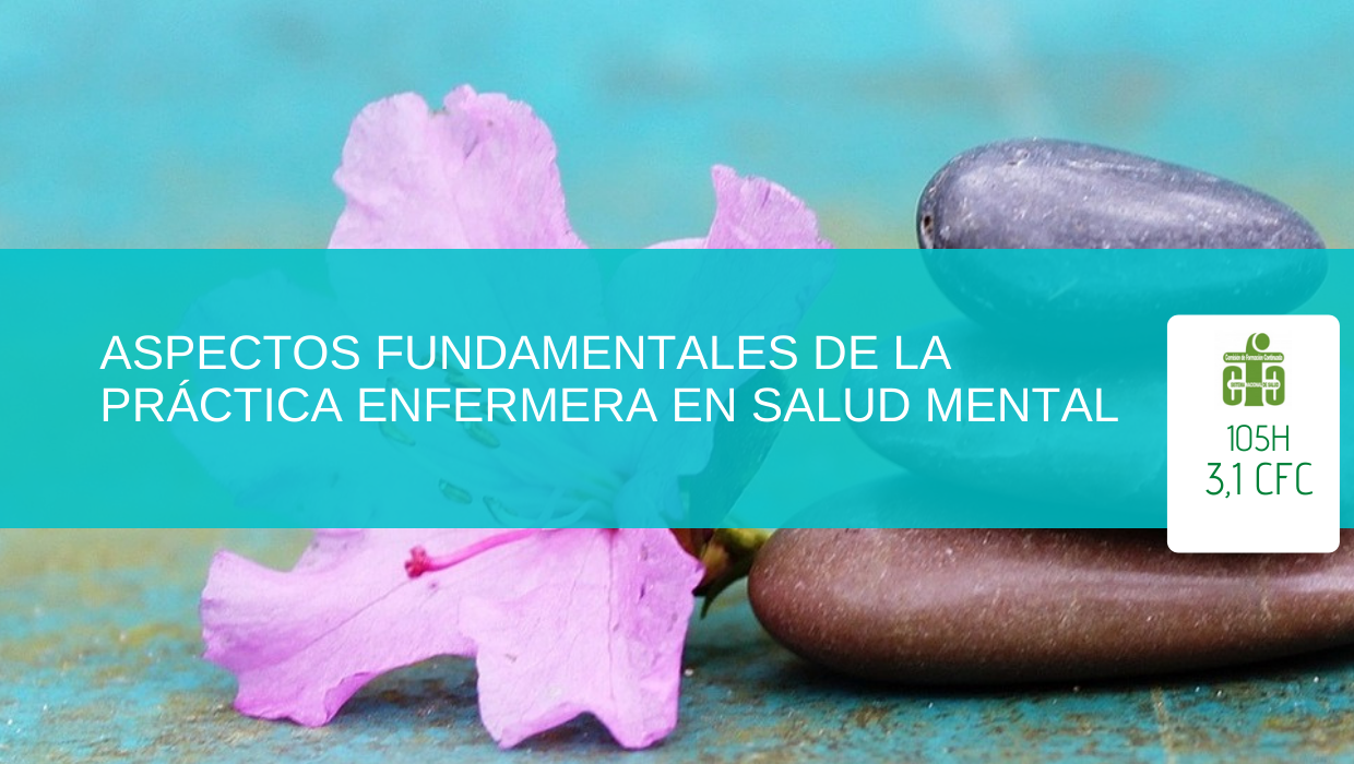 Aspectos fundamentales de la Práctica Enfermera en Salud Mental (DURACIÓN: 1 MES)